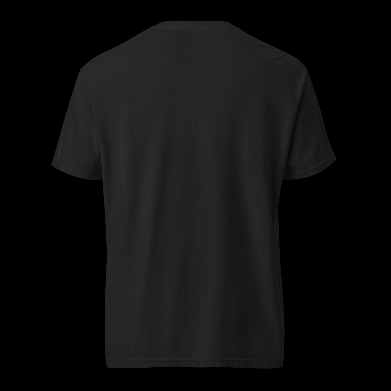 Unisex garment-dyed heavyweight t-shirt — back