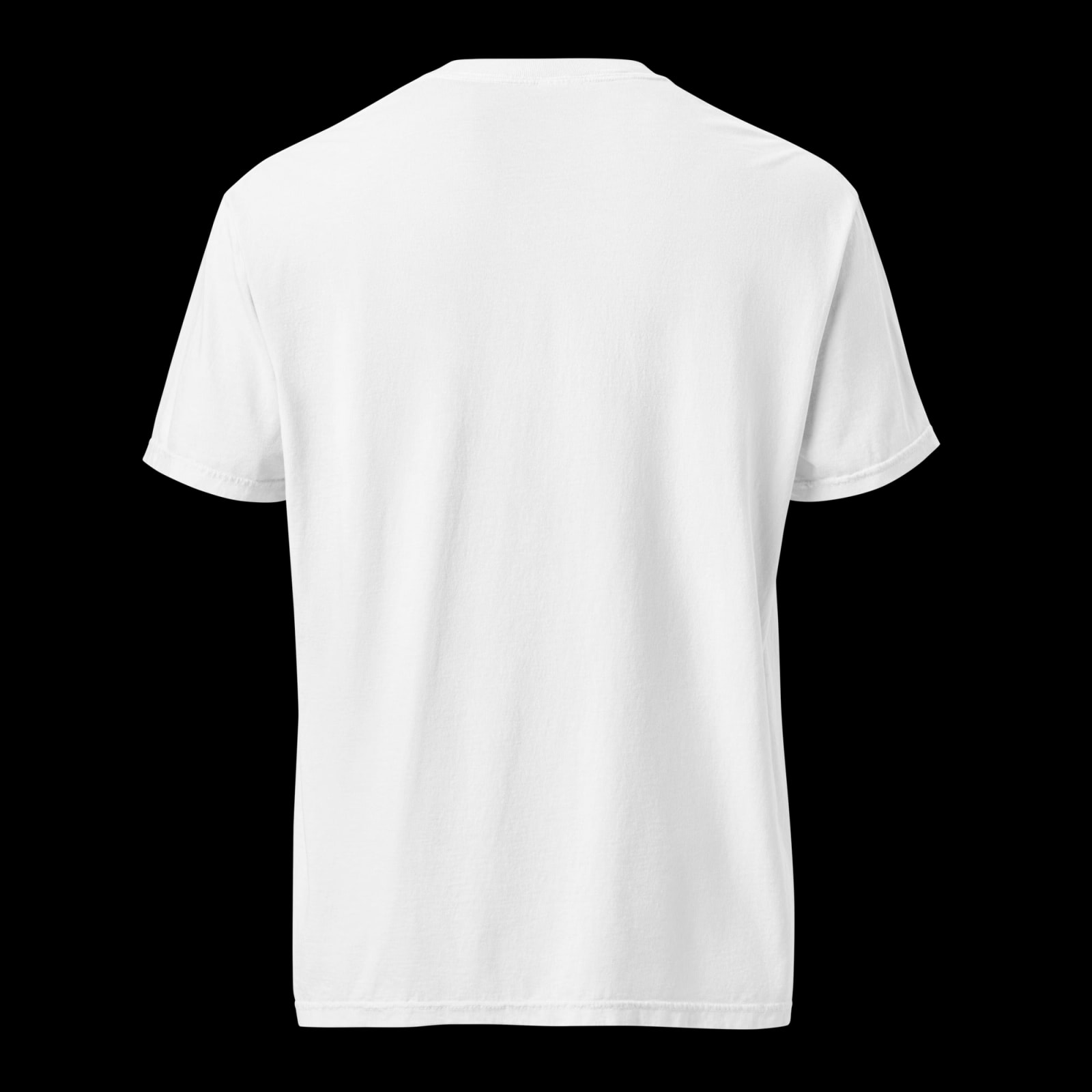 Men's garment-dyed heavyweight t-shirt — back