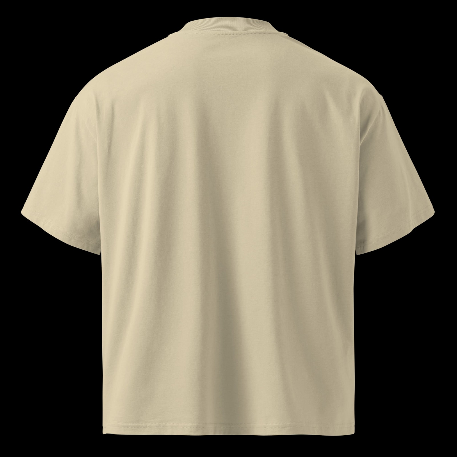 Men's organic oversized high neck t-shirt — back